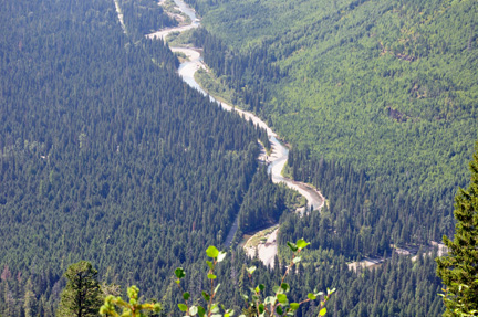 bird woman falls