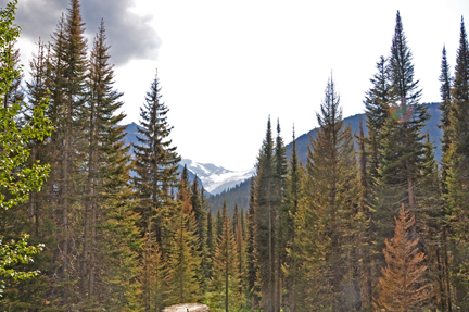 Jackson Glacier