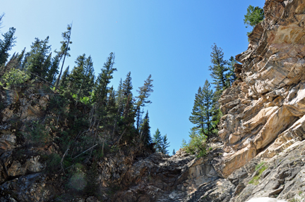 trees at the top of the cliff