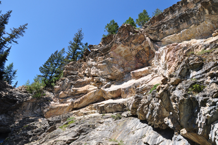 trees at the top of the cliff