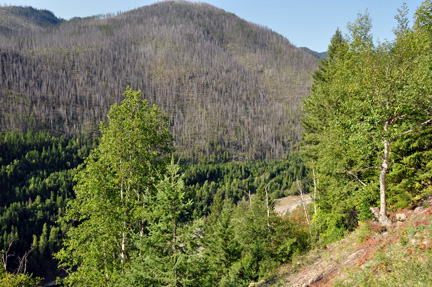 Hungry Horse Dam