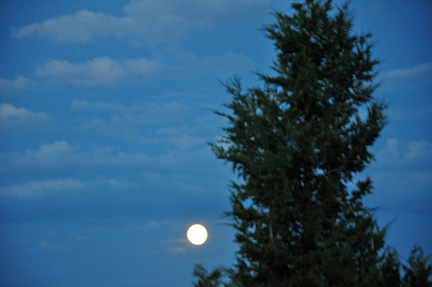 the moon at night in Montana