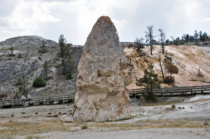 Liberty Cap