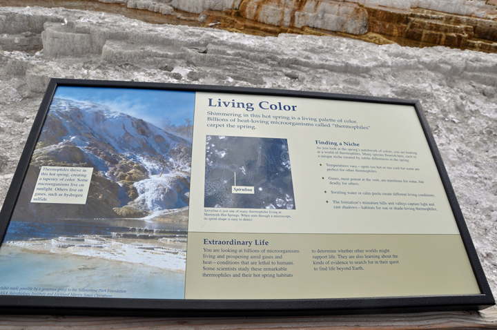 sign about the colors in the hot spring