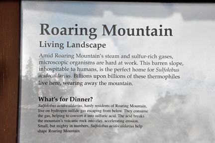 sign - Roaring Mountain