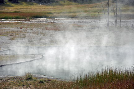 thermal area and steam