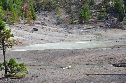 thermal area