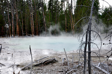  Cistern Spring Geyser