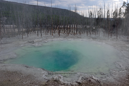  Cistern Spring Geyser