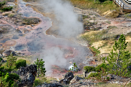 steam vents