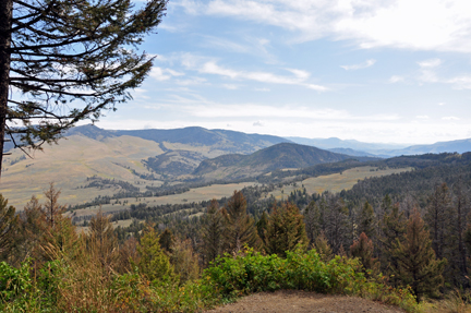 scenery in Yellowstone