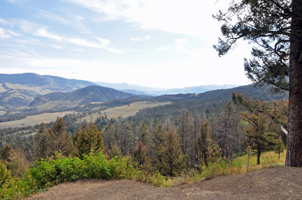 scenery in Yellowstone