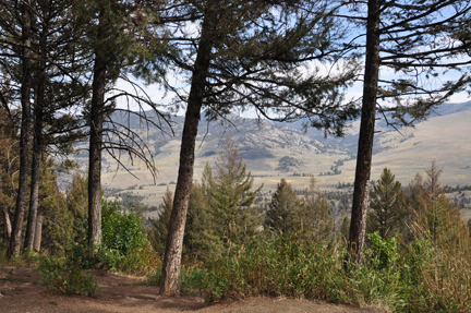 scenery in Yellowstone