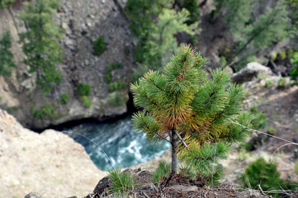 Calcite Springs overlook