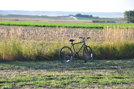 bicycle and field