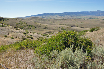 scenery in Wyoming