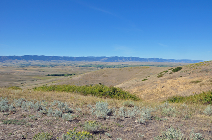 scenery in Wyoming