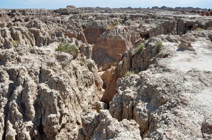 Baddest of the Badlands