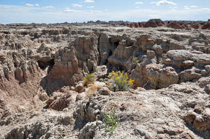 Baddest of the Badlands