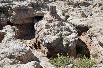 Baddest of the Badlands