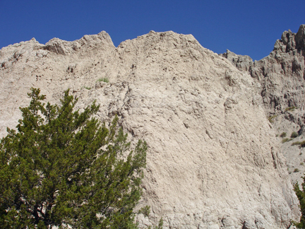 along Cliff Shelf Nature Trail