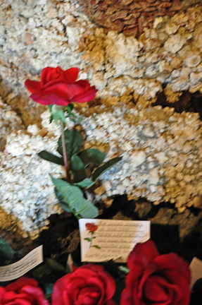 the rose and card in loving memory of Brian Lee Duquette