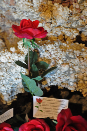 the rose and card in loving memory of Brian Lee Duquette