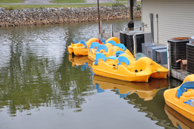 paddle boats