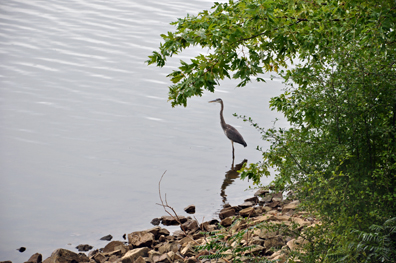 a sand crane