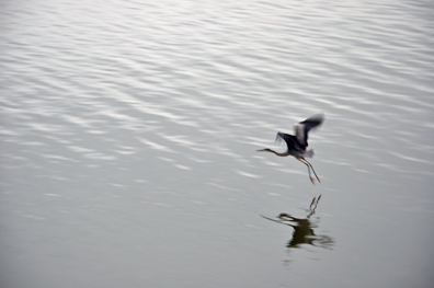 a sand crane