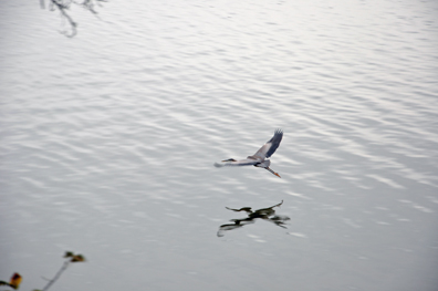 a sand crane