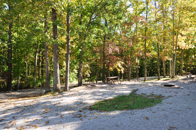 the new yard of the two RV Gypsies
