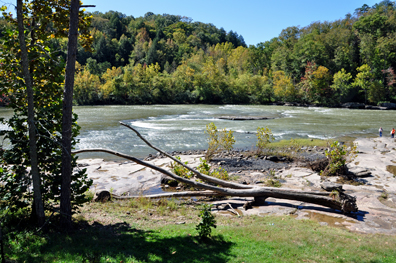 Cumberland River above the falls