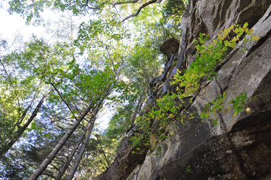 looking up at the tall rock formation above the trail to the beach