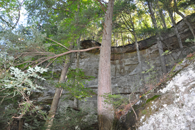 looking up at the tall rock formation above the trail to the beach