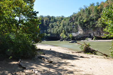 The beach area 