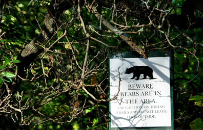 beware of bears sign