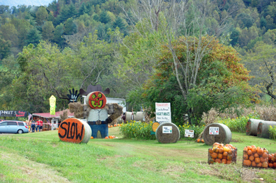 Halloween scene along the roadside