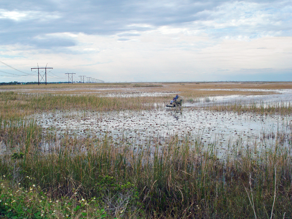 An Airboat in the Everglades