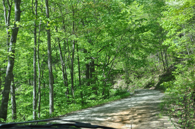 an extremely curvy, dirt road