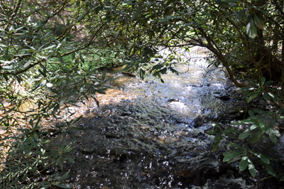 a glance at the river stream