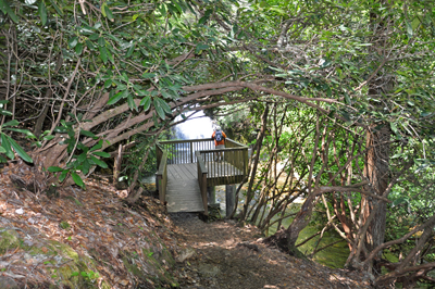 Blue Hole waterfall