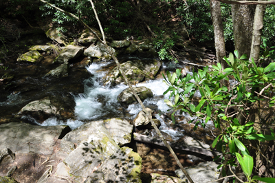 the stream at the bottom of the falls