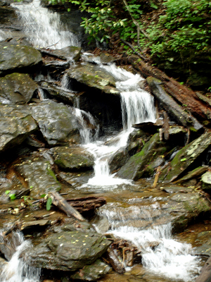 a close-up of the falls