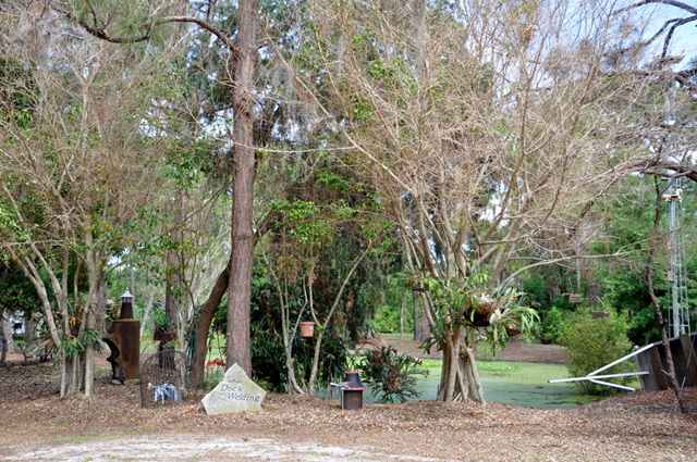 Doc's yard and pond