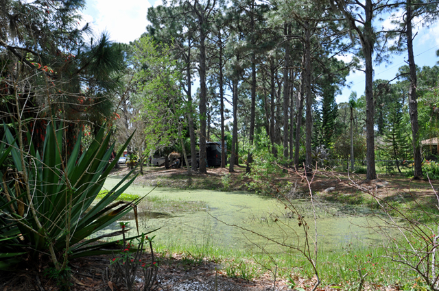view of the two RV Gypsies' RV from across the pond