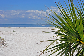 the beach