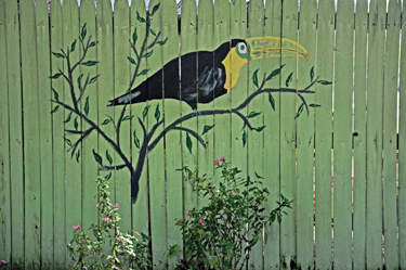 A fence in the park by the roadside