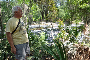 lee Looking through the trees at the Suwannee River