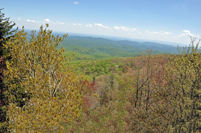 Scenery taken while driving towards Grandfather Mountain